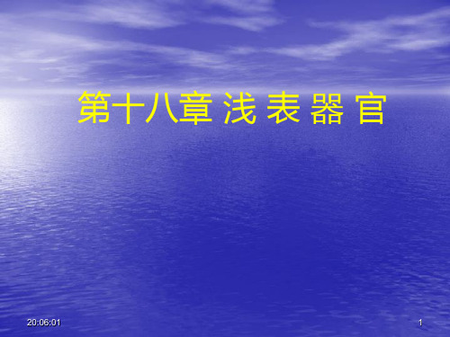 超声诊断学 小器官