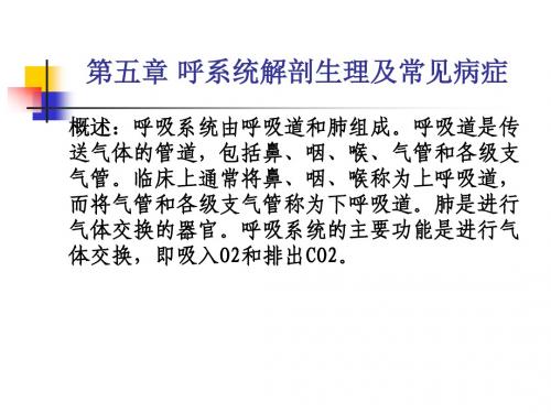 第五章 呼吸系统解剖生理及常见病症