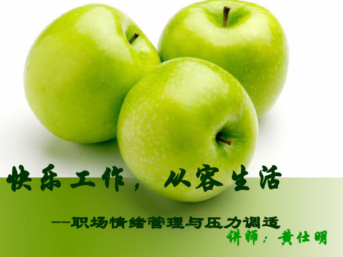 快乐工作从容生活说课讲解