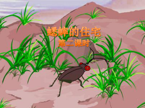人教版四年级上册语文7 蟋蟀的住宅 第二课时PPT课件(共13张PPT)