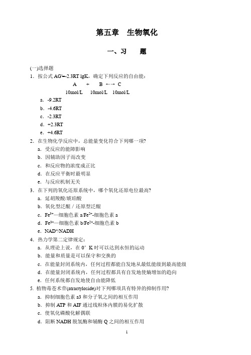 05  第五章  生物氧化 华中农业大学微生物考研生物化学
