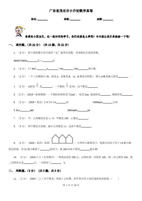 广东省茂名市小升初数学真卷
