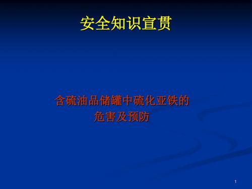 硫化亚铁形成机理及防范ppt课件