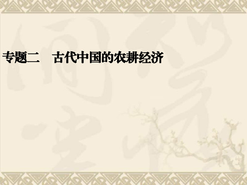 高考历史二轮复习全攻略考前抢分必备课件专题二 古代中国的农耕经济(22张PPT)