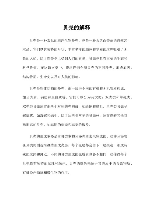 贝壳的解释