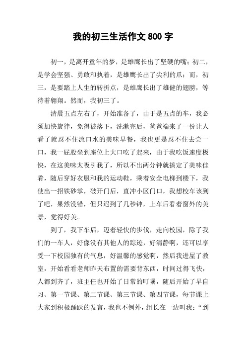 我的初三生活作文800字