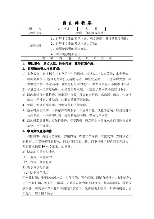 自由泳教案