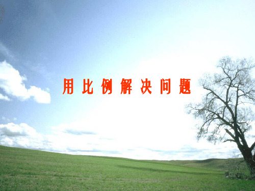 用比例解决问题1
