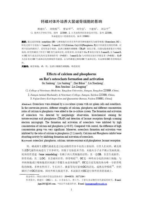 钙磷对体外培养大鼠破骨细胞的影响