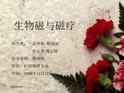 生物磁与磁疗