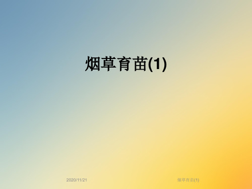 烟草育苗(1)