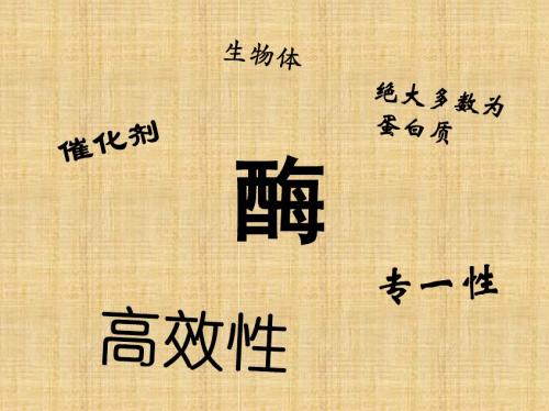 浙科版高中生物必修一 酶(第三课时) 名师公开课优质课件 (23张)