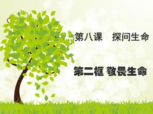新人教版《道德与法治》七年级上册8.2《敬畏生命》公开课课件
