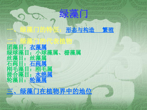 绿藻门
