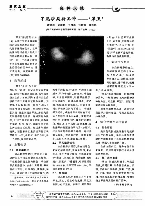 早熟砂梨新品种——‘翠玉’