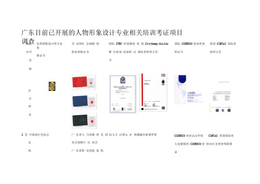 人物形象设计专业相关培训考证项目调查