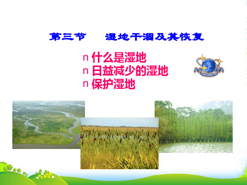 版人教版高中地理选修六课件：4.3湿地干涸及其恢复(共12张PPT)