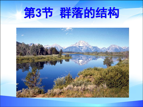 人教版高中生物必修三第4章第3节 群落的结构 课件(共30张PPT)
