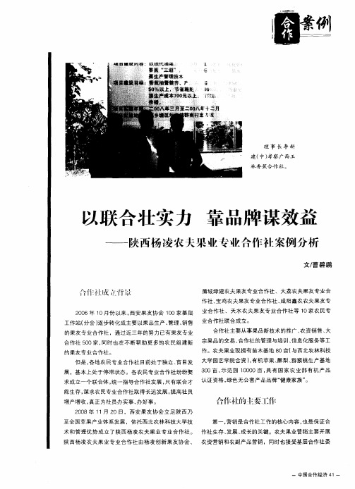 以联合壮实力 靠品牌谋效益——陕西杨凌农夫果业专业合作社案例分析