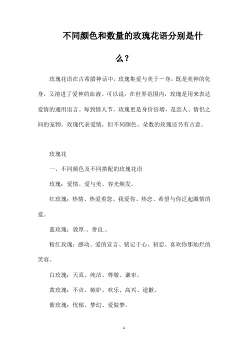 不同颜色和数量的玫瑰花语分别是什么？