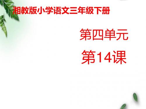最新湘教版小学语文三年级下册《世界上最响的声音》公开课课件第二课时