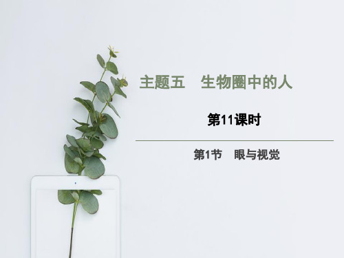 第11课时  生物圈中的人