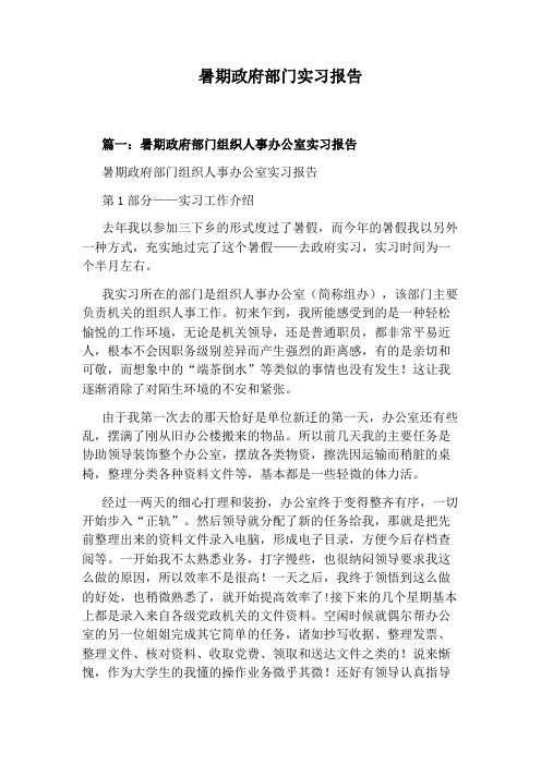 暑期政府部门实习报告