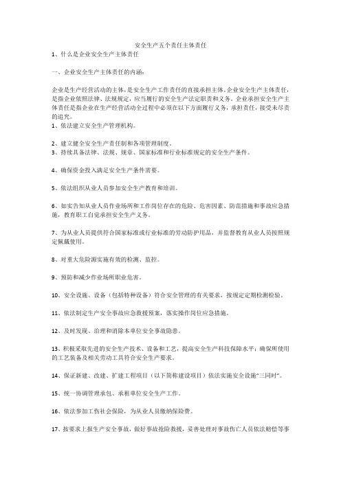 安全生产五个责任主体责任安全生产