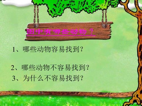 青岛小学科学六上《21、变色龙》PPT课件 (8)