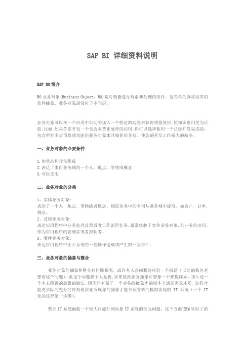 SAPBI详细资料说明