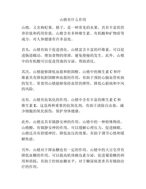 山楂有什么作用