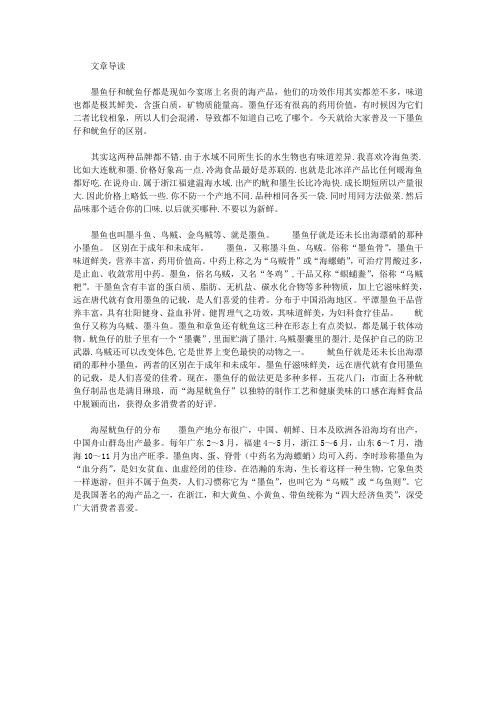 生活养生-墨鱼仔和鱿鱼仔的区别