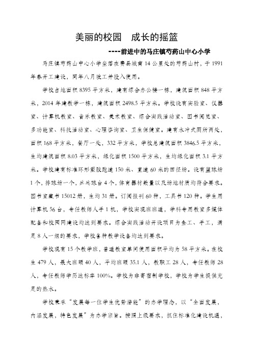 费县马庄镇芍药山中心小学简介