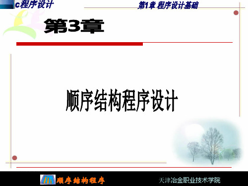 C语言程序设计第三章 PPT课件
