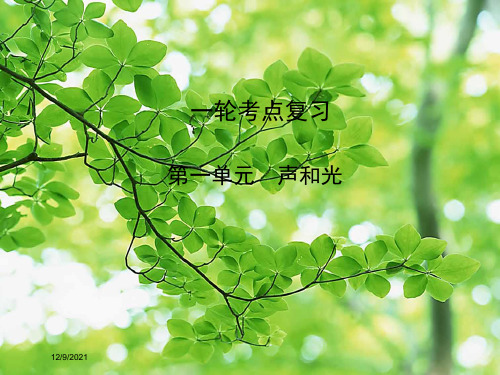 中考物理 第一单元 声和光 第1课时 声现象复习物理课件