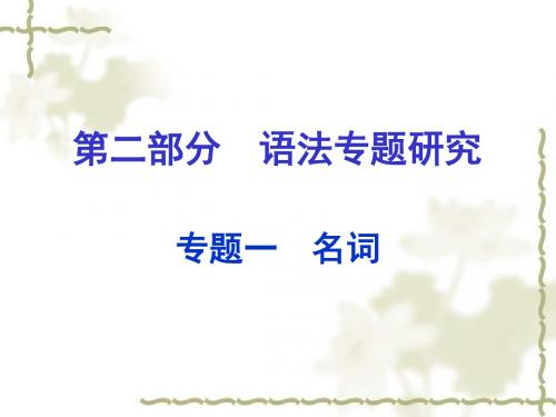最新人教版2016中考英语第二部分语法专题研究专题一+名词课件+人教新目标版