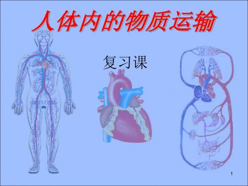 最后复习第四章人体内物质的运输复习课ppt课件
