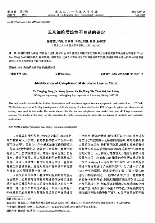 玉米细胞质雄性不育系的鉴定
