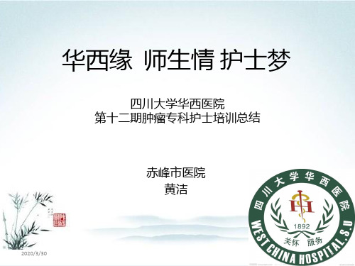 护理演讲稿 PPT课件
