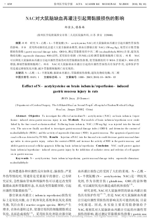 NAC对大鼠脑缺血再灌注引起胃黏膜损伤的影响