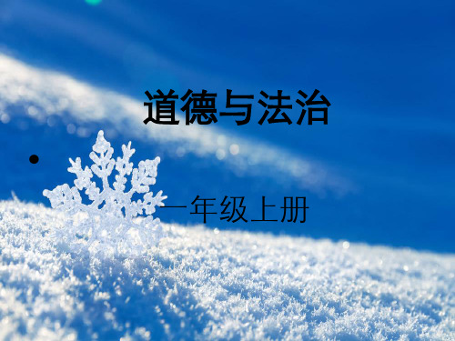 一级上册道德与法治课件-美丽的冬天新人教版1
