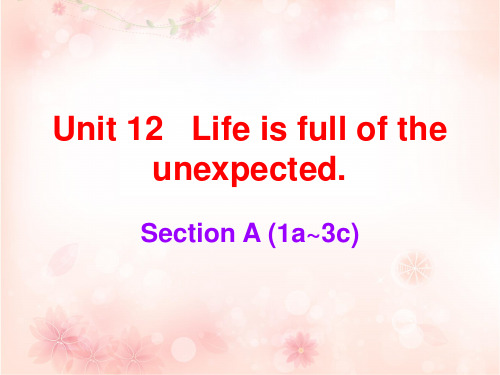 届人教版九年级英语下册课后作业课件：课后Unit 12(共45张PPT)