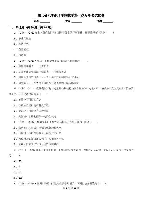 湖北省九年级下学期化学第一次月考考试试卷