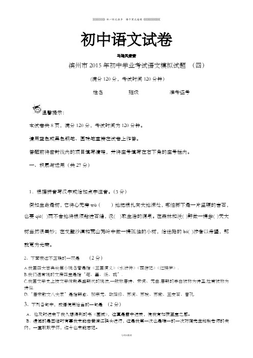 中考专题  山东省滨州市 语文模拟试题(四)及答案