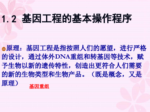 基因工程的基本操作程序PPT课件