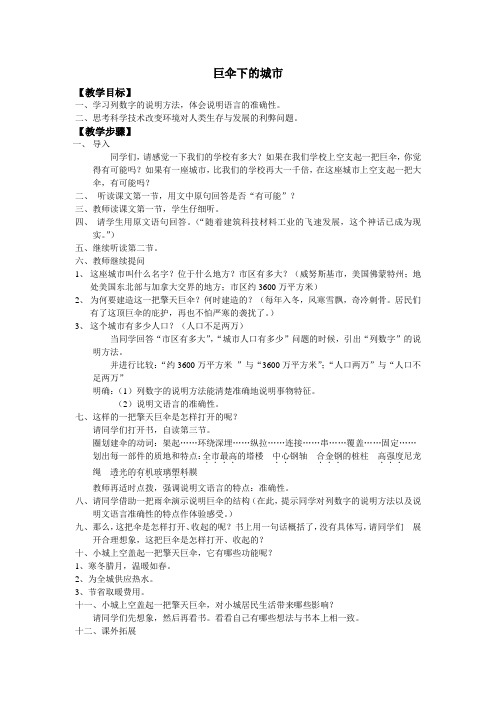 《巨伞下的城市教案》公开课优秀教案