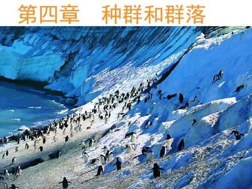 2017-2018学年人教版高中生物必修(三)4-1种群的特征 课件 (共67张PPT)