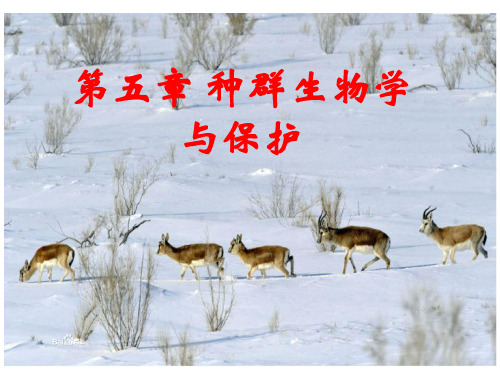 第五章种群生物学与保护