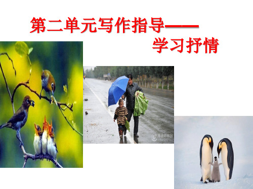 七下第二单元写作指导学习抒情课件(29张PPT)