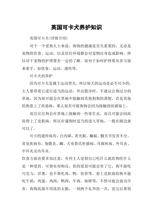 英国可卡犬养护知识